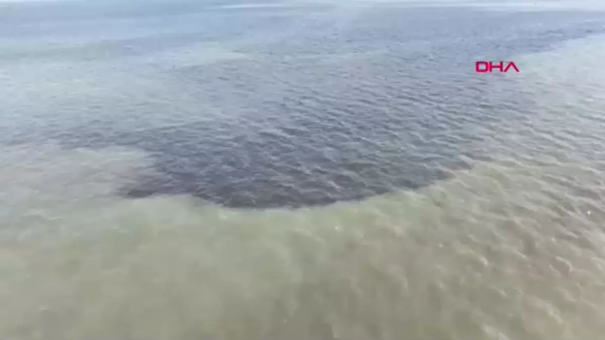 İzmir Körfezi İçin Acil Eylem Planı Açıklanıyor