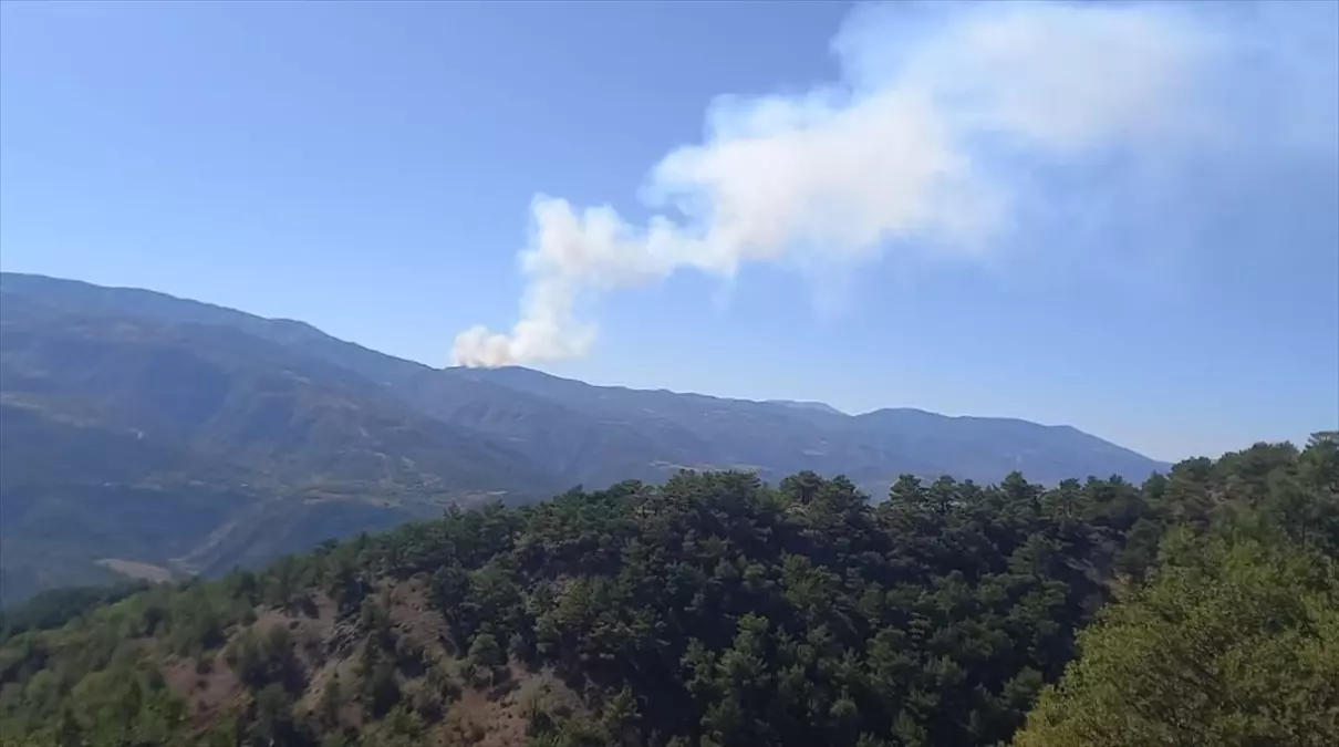 Sivas’ta Orman Yangınına Müdahele Başladı