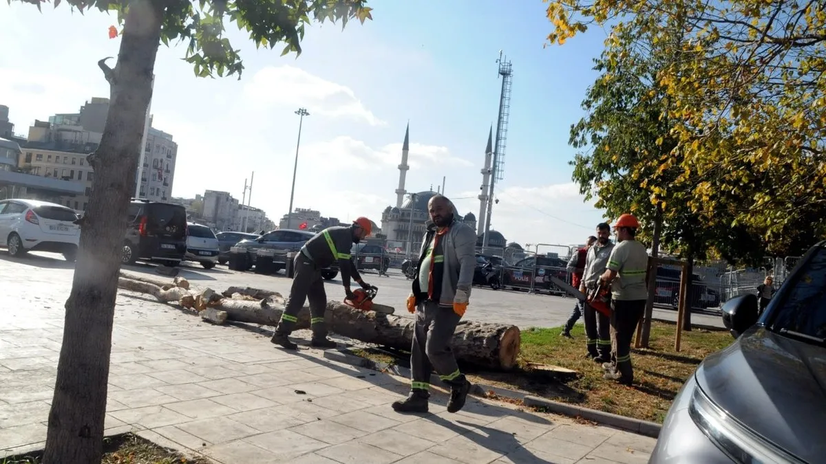 Gülhane Parkı’ndaki ve Gezi Parkı’ndaki ağaçları neden ölüme terk ettiniz | Melih Altınok yazdı