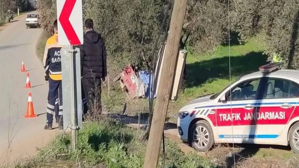 İzmir’de motosikletle zeytin ağacına çarpan 2 kardeş öldü