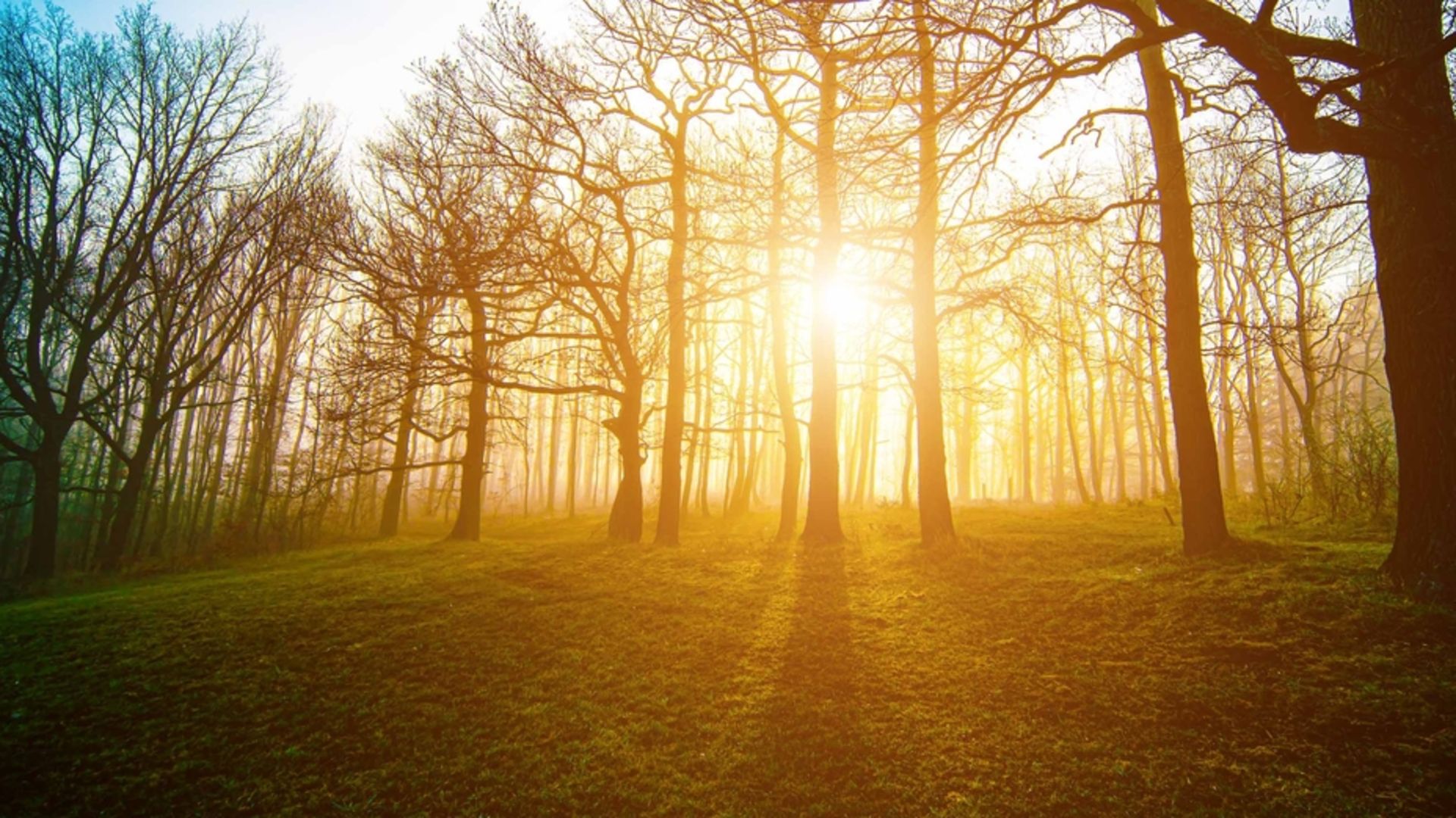 Zihinsel sağlığınızı destekleyecek 5 egzersiz